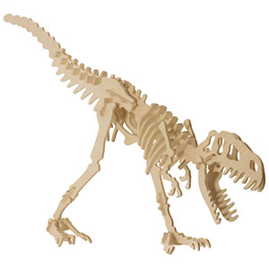 Dino Skeleton Excavation